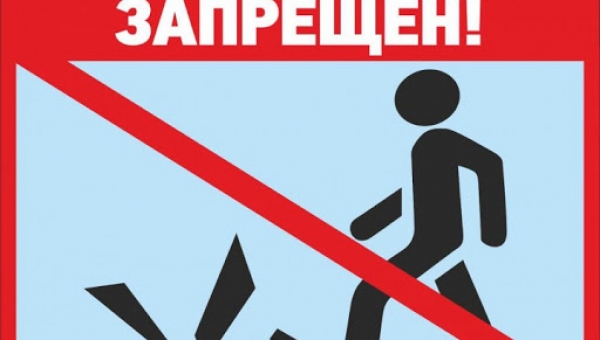 Внесены изменения в постановление Правительства Санкт-Петербурга