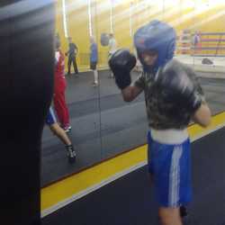 Открытая тренировка по боксу в СОК «ИЖОРЕЦ» 