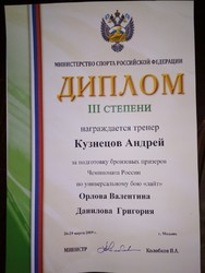 Чемпионат России по Универсальному бою